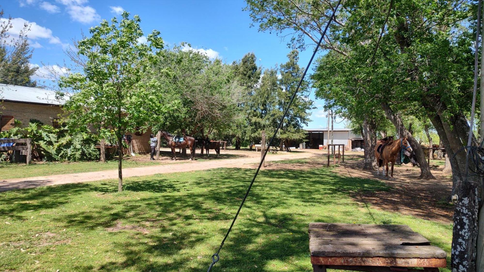Cabana Rural El Encuentro Сан-Антонио-де-Ареко Номер фото